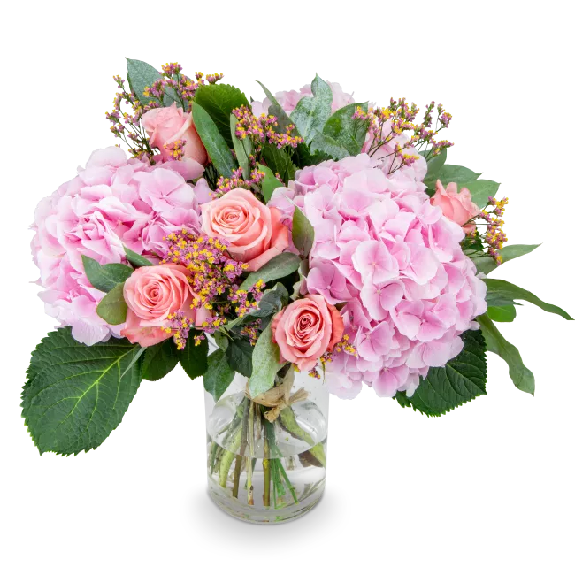 Bouquet of hydrangea